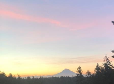 Roberta Macdonald Mt Rainier from my window